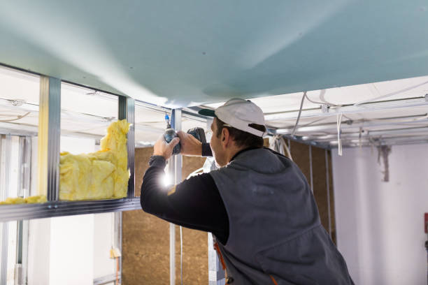Best Types of Insulation in Bayou Vista, TX